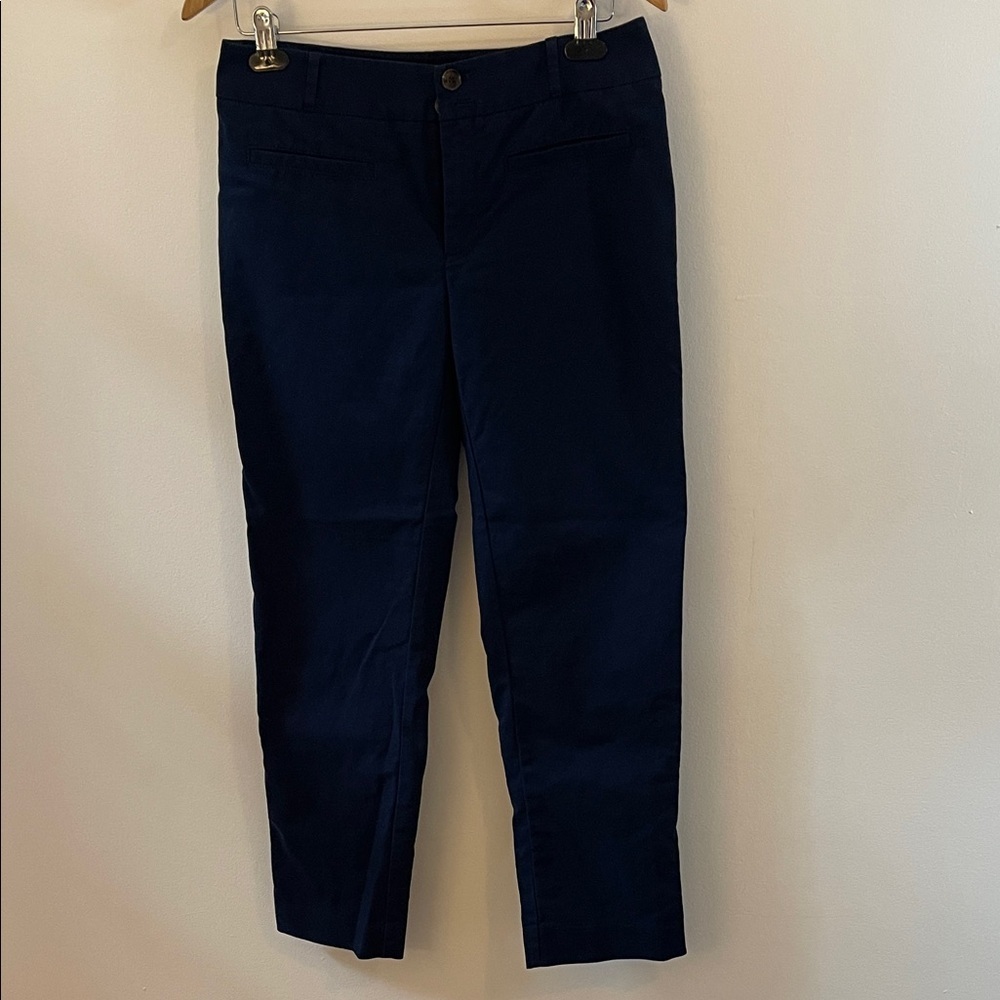 Cartonnier Anthropologie Navy Slim Ankle Pants Size 6